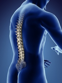 Osteo structurelle-200
